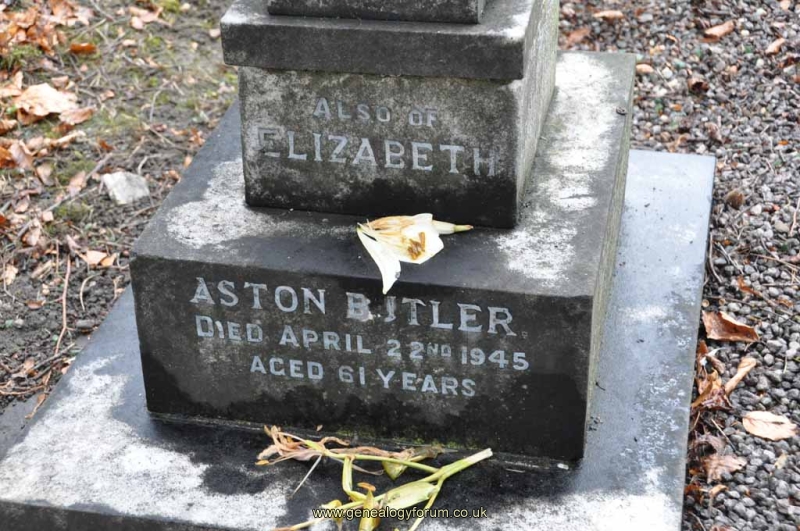Butler 1 - Elizabeth Aston