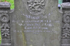 Davies - Susannah (sister of Miss F Davies)