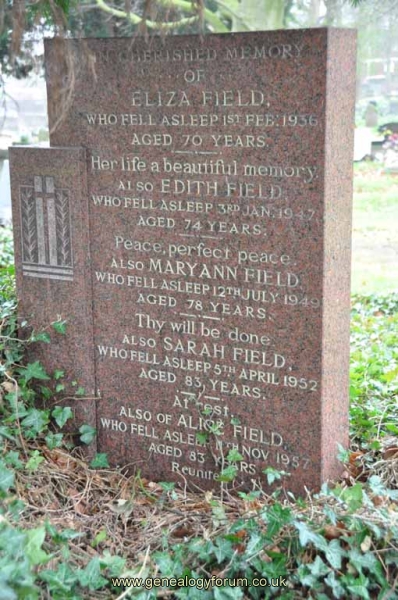Field - Family