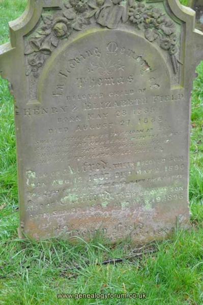 Field - Henry (husband of Elizabeth) & kids Alfred, Clifford, Thomas