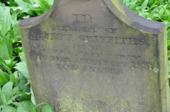 Griffiths - Joseph (son of John & Mary)