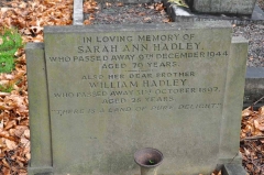 Hadley - Sarah Ann & brother Wlliam