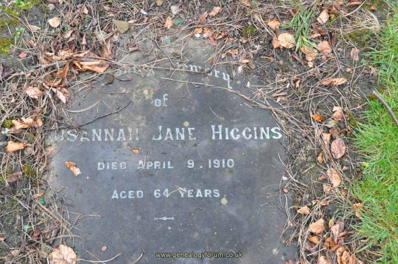 Higgins - Susannah Jane