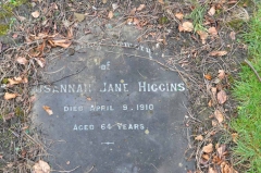 Higgins - Susannah Jane