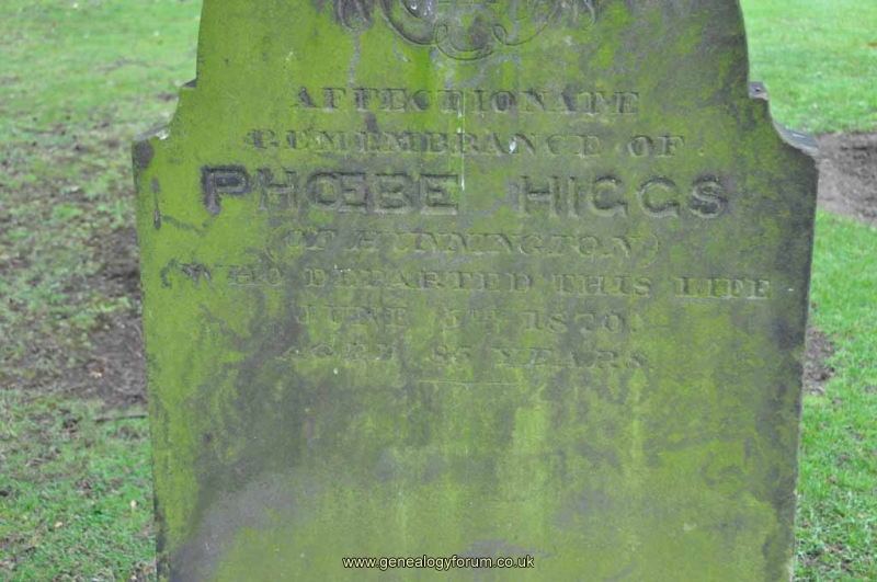 Higgs - Phoebe