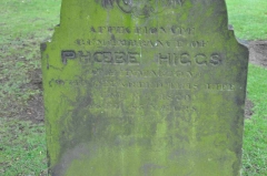 Higgs - Phoebe