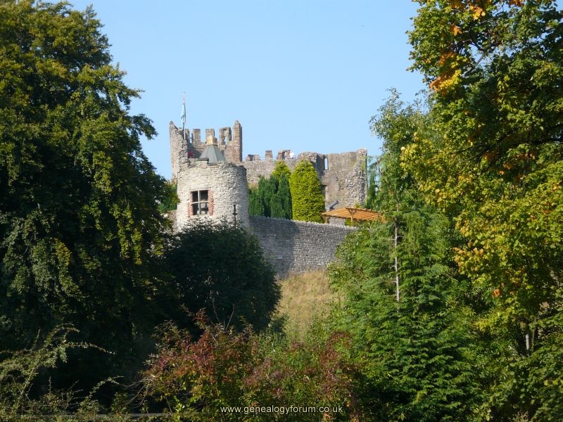 Dudley - Dudley Castle