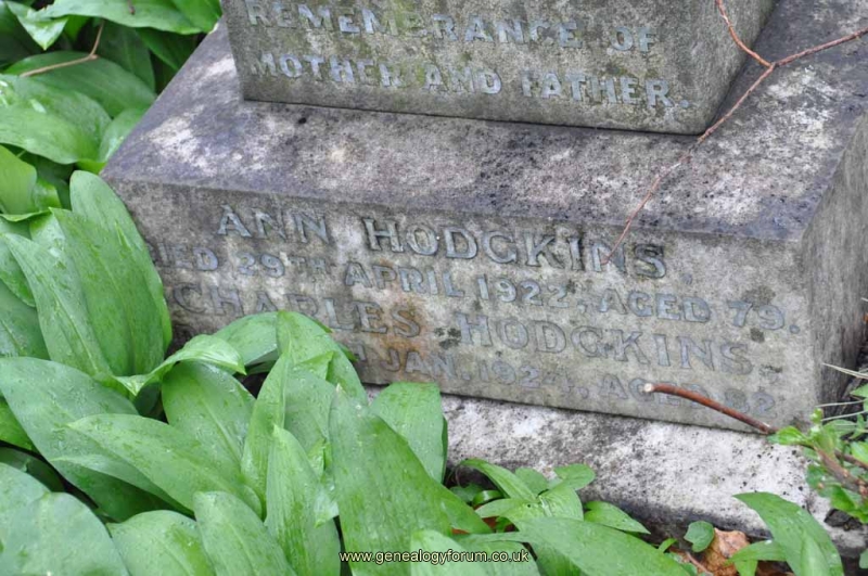 Hodgkins - Charles, Ann