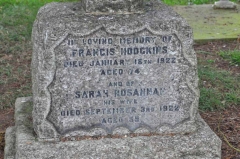 Hodgkins - Francis, Sarah