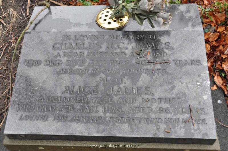 James - Charles, Alice