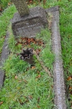 Johnson - Peter Siviter & mother May Leanora