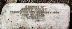 Percy Coley