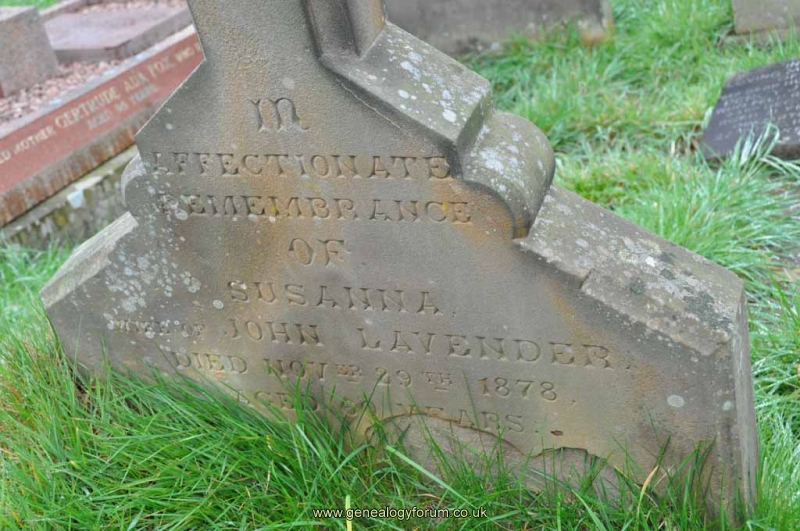 Lavender - Susannah (wife of John)