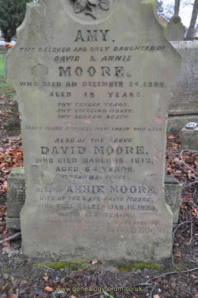Moore - David, Annie - also dau Amy and George
