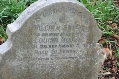 Moore - William (husband of Louisa)