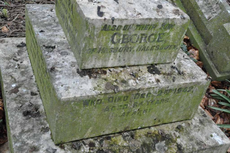 Partridge 1 - George