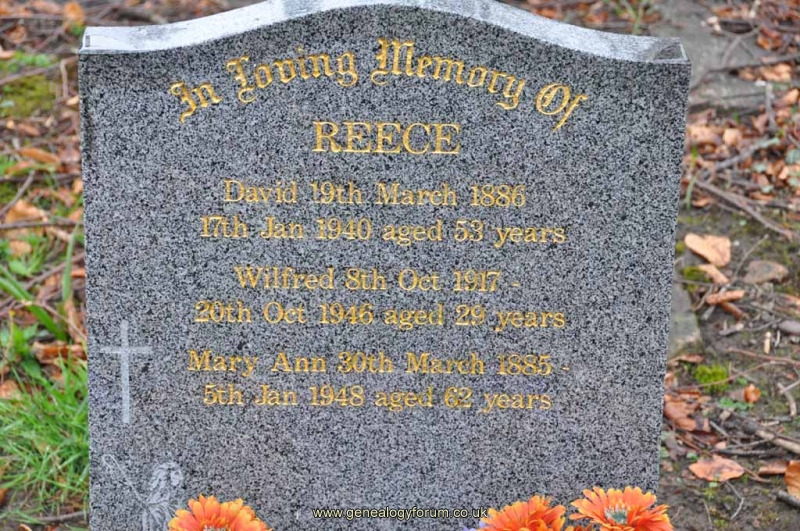 Reece - David, Mary Ann & Wilfred
