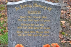 Reece - David, Mary Ann & Wilfred