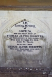 Thomas & Sophia Hodgetts