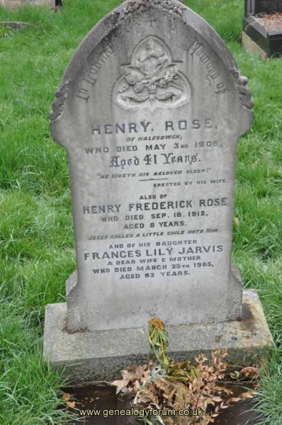 Rose - Jarvis