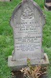 Rose - Jarvis