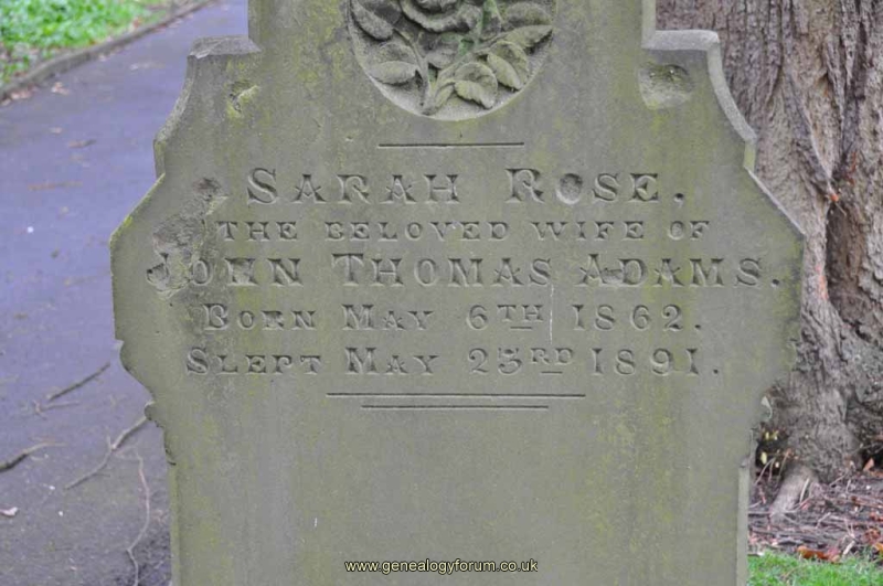 Rose - Sarah (wife of John Thomas Adams)