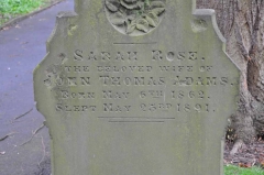 Rose - Sarah (wife of John Thomas Adams)