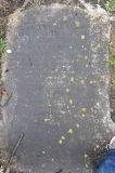 Rose - Thomas, Sarah Ann