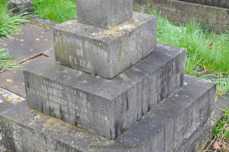 Stone - James, Eliza