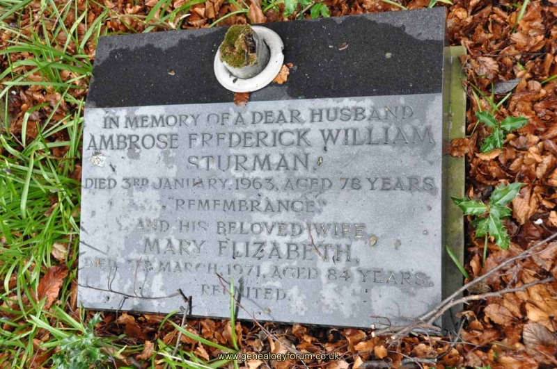 Sturman - Ambrose, Mary