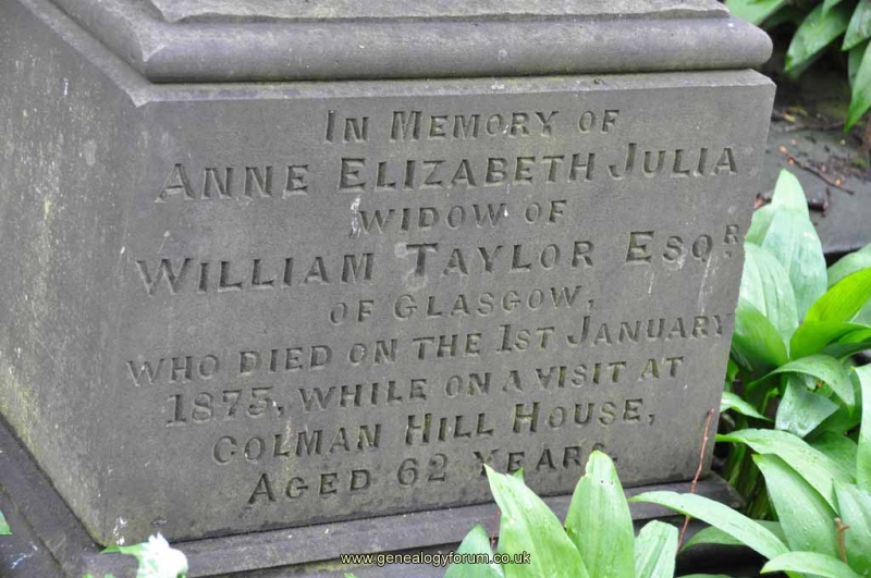 Taylor - Ann (wife of William)