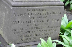 Taylor - Ann (wife of William)