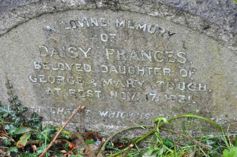 Tough - Daisy (daug of George & Mary)