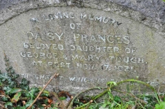 Tough - Daisy (daug of George & Mary)