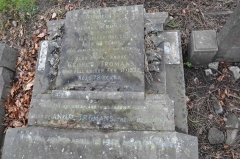Tromans - George, Charlotte & daug Annie