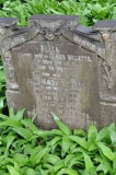 Willetts - James, Eliza & daugh Mary Sophia