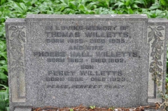 Willetts - Thomas, Phoebe & son Percy