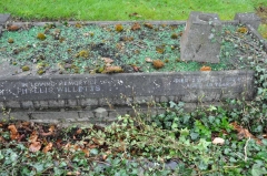 Willetts 2 - Phyllis