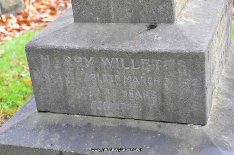 Willetts 3 - Harry