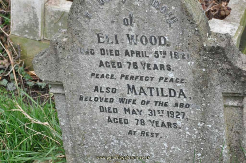Wood - Eli, Matilda