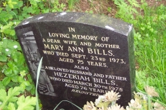 Hezekiah & Mary Ann Bills
