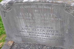 Willetts - Dyer