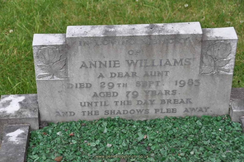 Williams - Annie