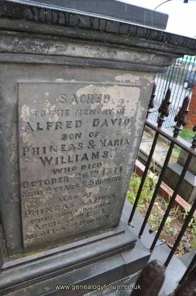 Williams 1 - Alfred David and Phineas Samuel (children of Phineas and Maria)