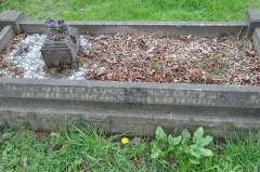 Cartwright - Francis Skidmore