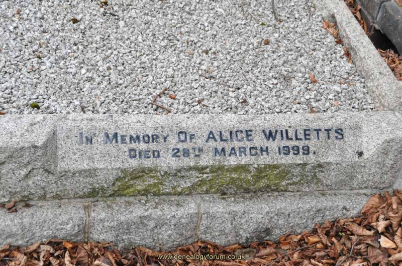 Oliver 3 - Alice Willetts