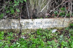 Garratt 1 - Henry