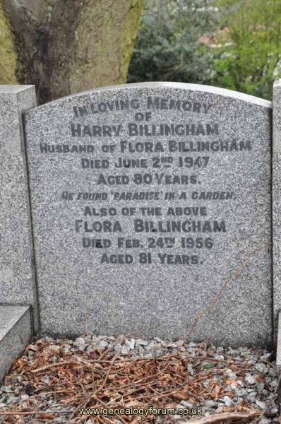 Billingham - Harry, Flora