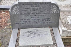Hall - David, Bertha & son David jnr
