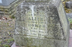 Homer 2 - Alice
